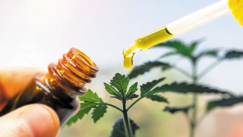 Important Facts One Should Know About the Right CBD Product