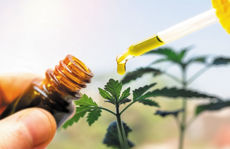 Important Facts One Should Know About the Right CBD Product