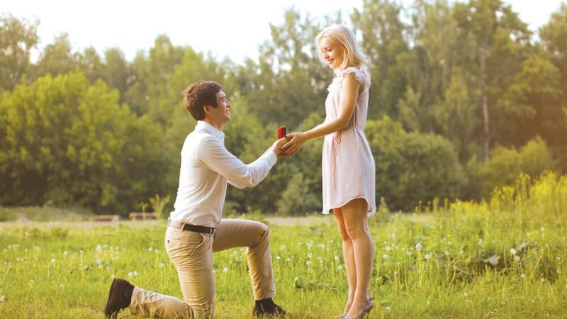 Plan Perfectly Your Partner For Any Proposal