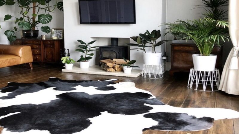 Black & White Cowhide Rug Today